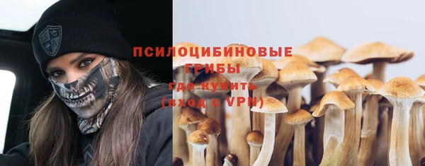 2c-b Михайловка