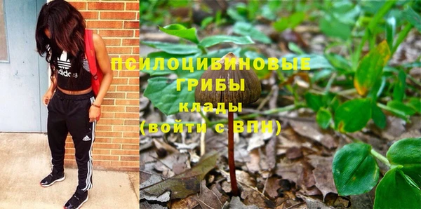 2c-b Михайловка