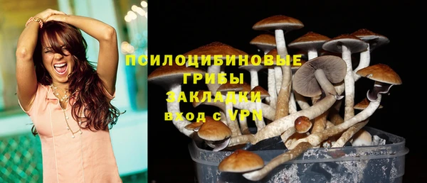 альфа пвп Михайловск