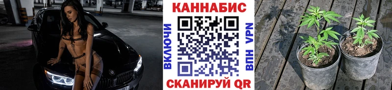 Купить где  Кумертау  Бошки Шишки индика 